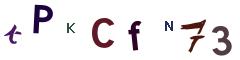 Image CAPTCHA