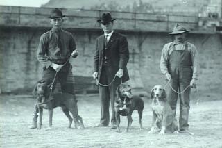 Old photo of three men with hounds