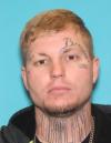 DUNN, SHANE MICHAEL - FUGITIVE SEX OFFENDER