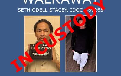 Walkaway graphic with "In custody" over Stacey's photos 