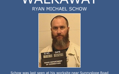 graphic shows photo of Schow with summary of story